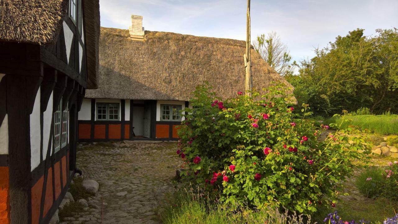 Thurup Hus Assens Exteriér fotografie